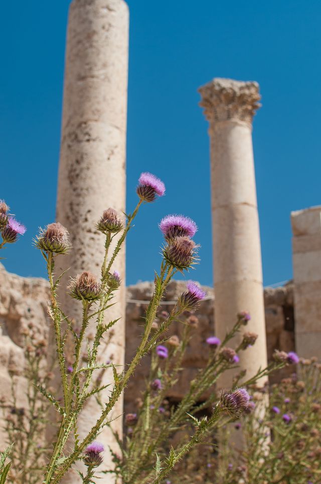 Jerash